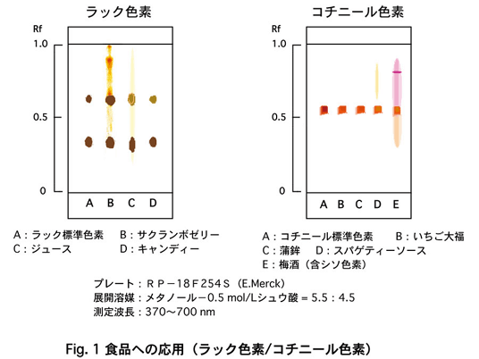 Fig.1 Hiւ̉pibNFf/R`j[Ffj