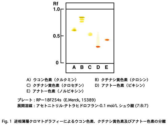 Fig.1 Hiւ̉pibNFf/R`j[Ffj