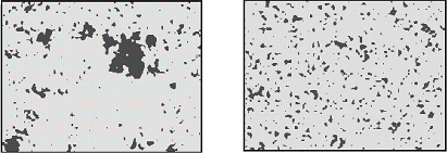 図１　食感の異なるカスタードクリームの油のIRイメージング分析（左：濃厚感大、右：濃厚感小）