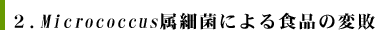 2.Micrococcus���׋ۂɂ��H�i�̕ϔs