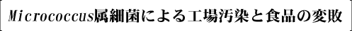Micrococcus���׋ۂɂ��H�ꉘ���ƐH�i�̕ϔs