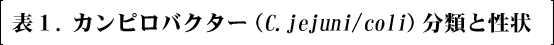 \P. JsoN^[iC.jejuni/colijނƐ