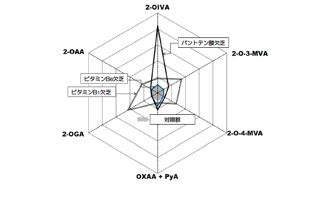 図5．ビタミンの機能性生体指標としての2-オキソ酸レーダーチャート（ラット実験）