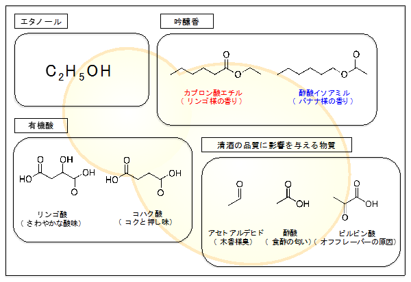 図1　清酒酵母が醸す清酒の品質に関与する化学物質