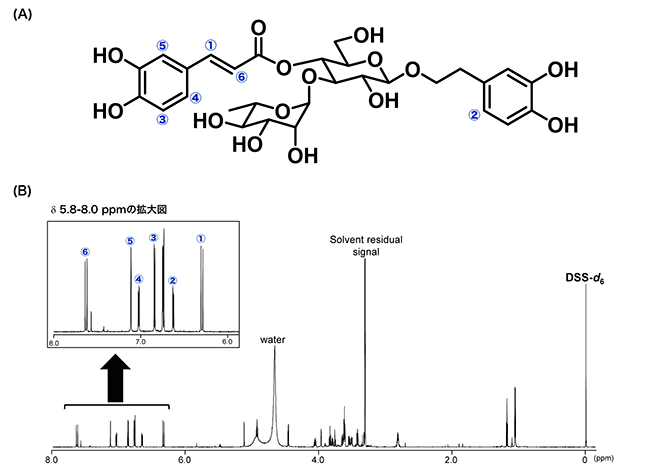 図2　アクテオシドの化学構造（A）および単離したアクテオシドの<sup>1</sup>H-qNMRスペクトル（B）