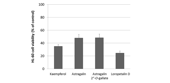 Kaempferol, Astragalin, Astragalin 2”-O-gallateおよびLoropetalin DのHL-60細胞に対する細胞増殖抑制能の比較（means ± SEMs, n = 6）