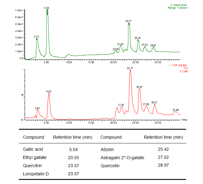香椿の葉の酢酸エチル層（TSL）のUPLC-MS分析