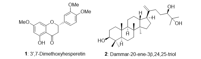 樹蘭から単離した化合物1および2の構造