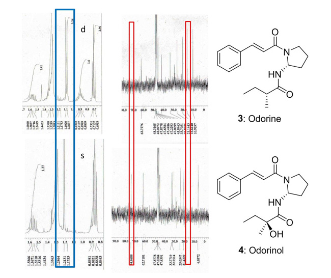 化合物3および4のNMRの差異点