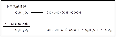 図1. 乳酸菌の乳酸発酵形式