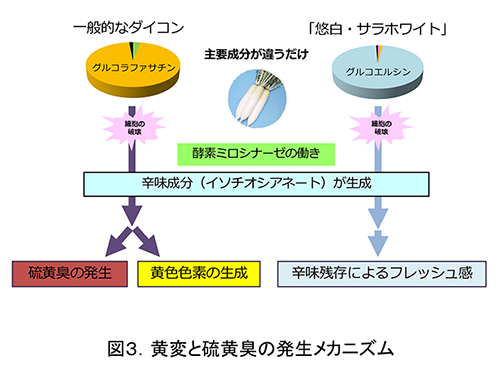 図3