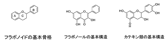 図２．フラボノイド類の基本構造