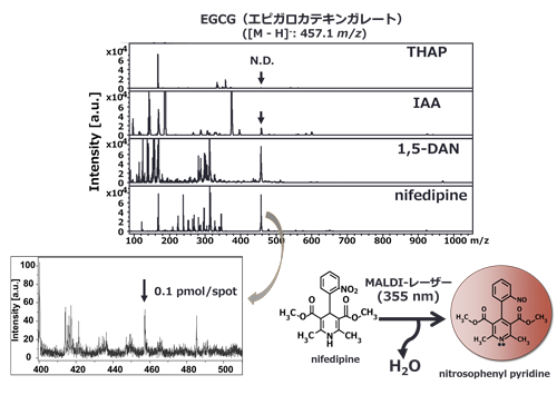 図4 EGCG（20 pmol/spot）のMALDI-MS検出